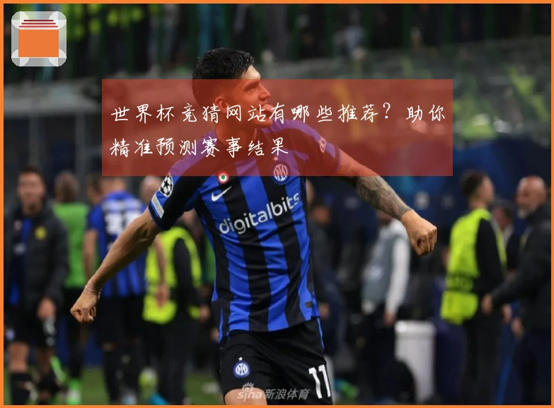 世界杯竞猜网站有哪些推荐？助你精准预测赛事结果