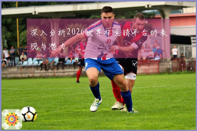 深入分析2026世界杯竞猜平台的表现与潜力