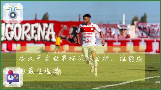 各大平台世界杯买球分析，谁能成为最佳选择
