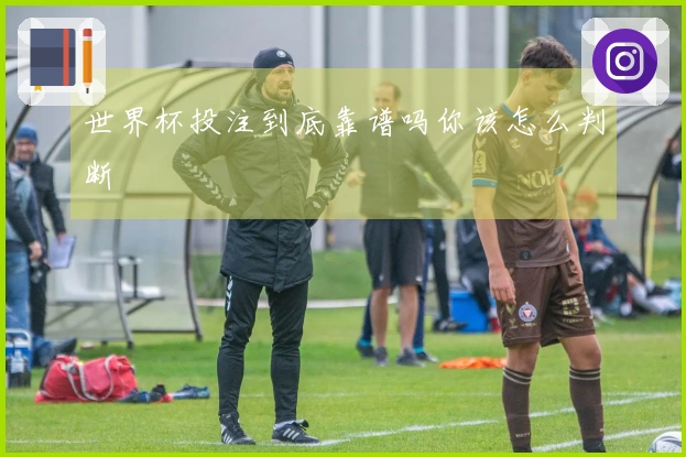 世界杯投注到底靠谱吗你该怎么判断
