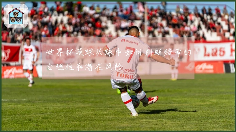 世界杯滚球买球中如何判断赔率的合理性和潜在风险
