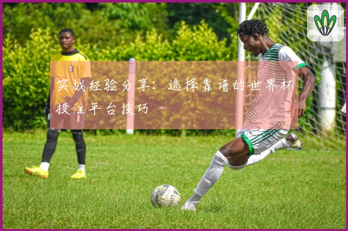 实战经验分享：选择靠谱的世界杯投注平台技巧
