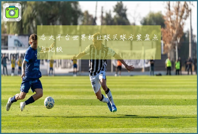 各大平台世界杯让球买球方案盘点与比较