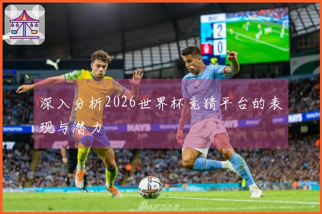 深入分析2026世界杯竞猜平台的表现与潜力