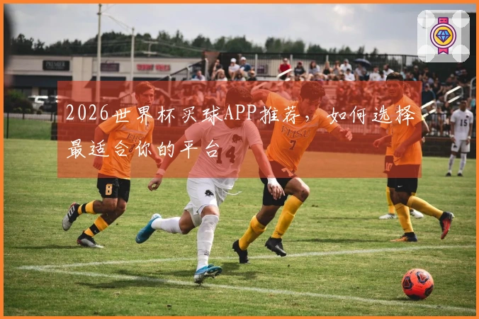 2026世界杯买球APP推荐，如何选择最适合你的平台