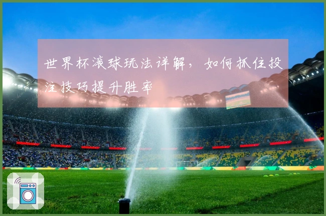 世界杯滚球玩法详解，如何抓住投注技巧提升胜率