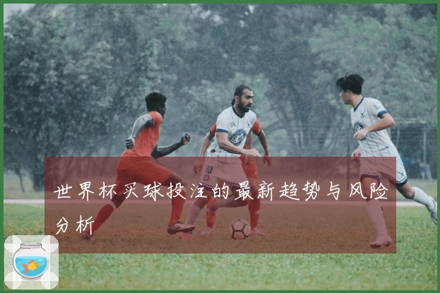 世界杯买球投注的最新趋势与风险分析